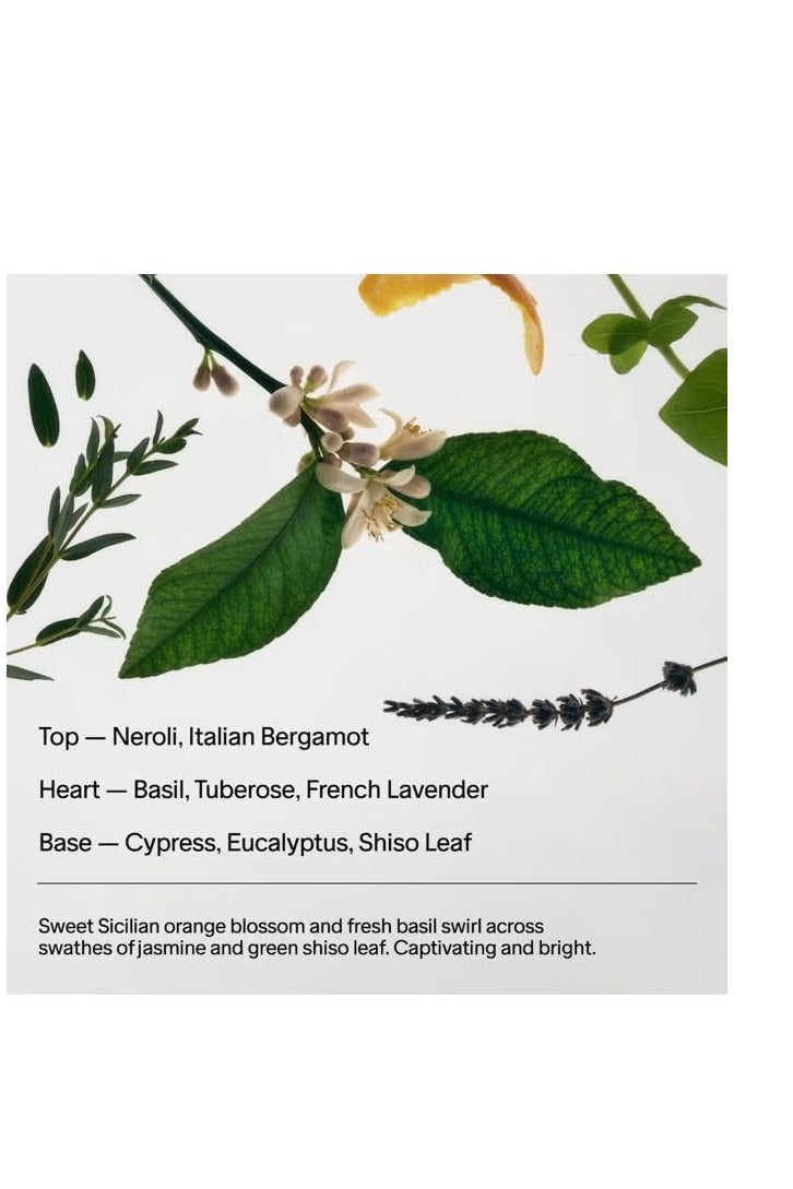 Salt & Stone Natural Deodorant for Women & Men - Neroli & Basil | Extra Strength Natural Deodorant - Image 4
